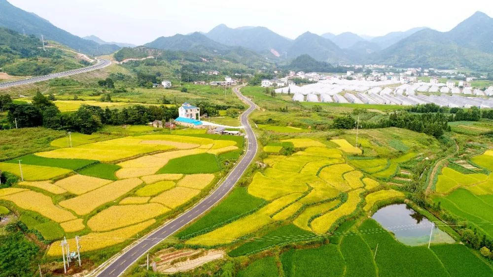 交通运输部印发通知指导地方做好保障农村公路“微循环”畅通工作