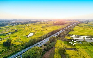 2025河北经济数据解读丨快递量突破百亿件 小包裹折射新活力